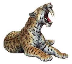 Smilodons